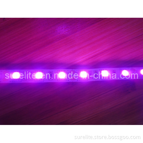 5050SMD 60LED/M Nonwaterproof Pink Color (XL-N5050-60P)